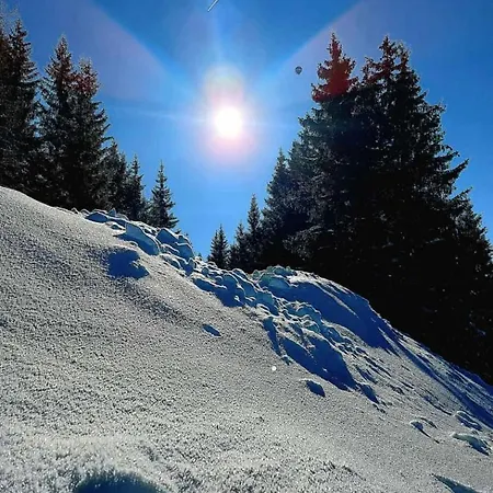 Berger Eben Im Pongau