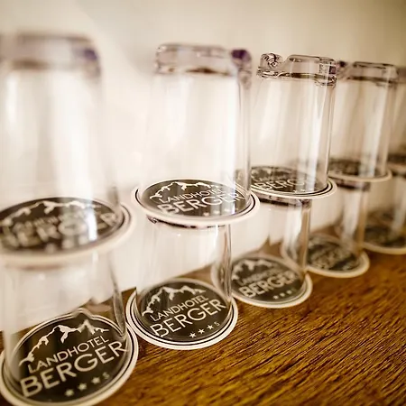 Hotel Berger 3*